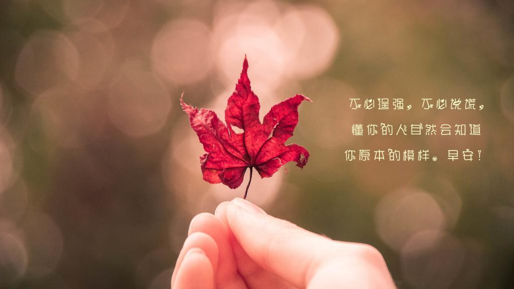 时光知味过往难寻