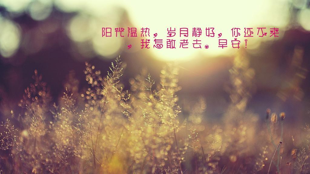 疼惜别人的心