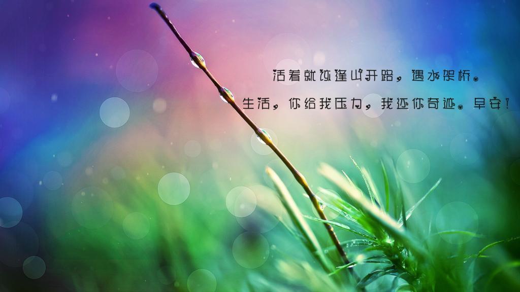 你是自己的爱人