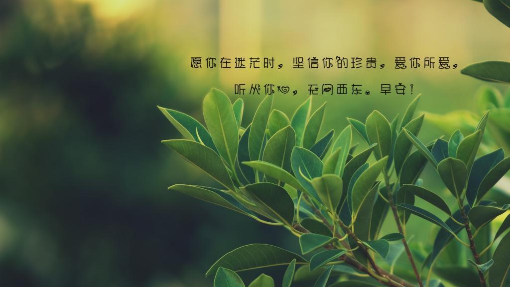 骨器店之骨哨