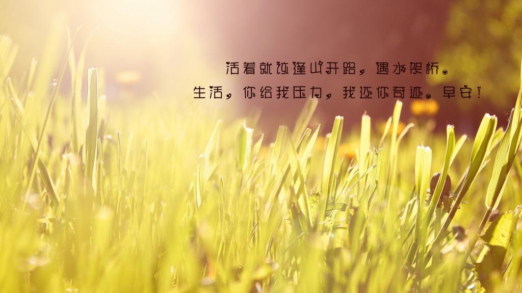 等你感动我