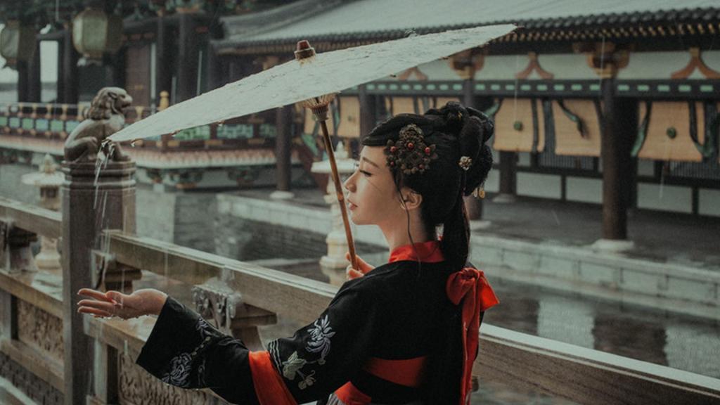 金刚鹦鹉私奔记