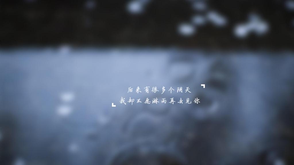 落花浮影
