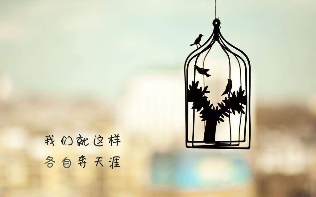 午间 心念