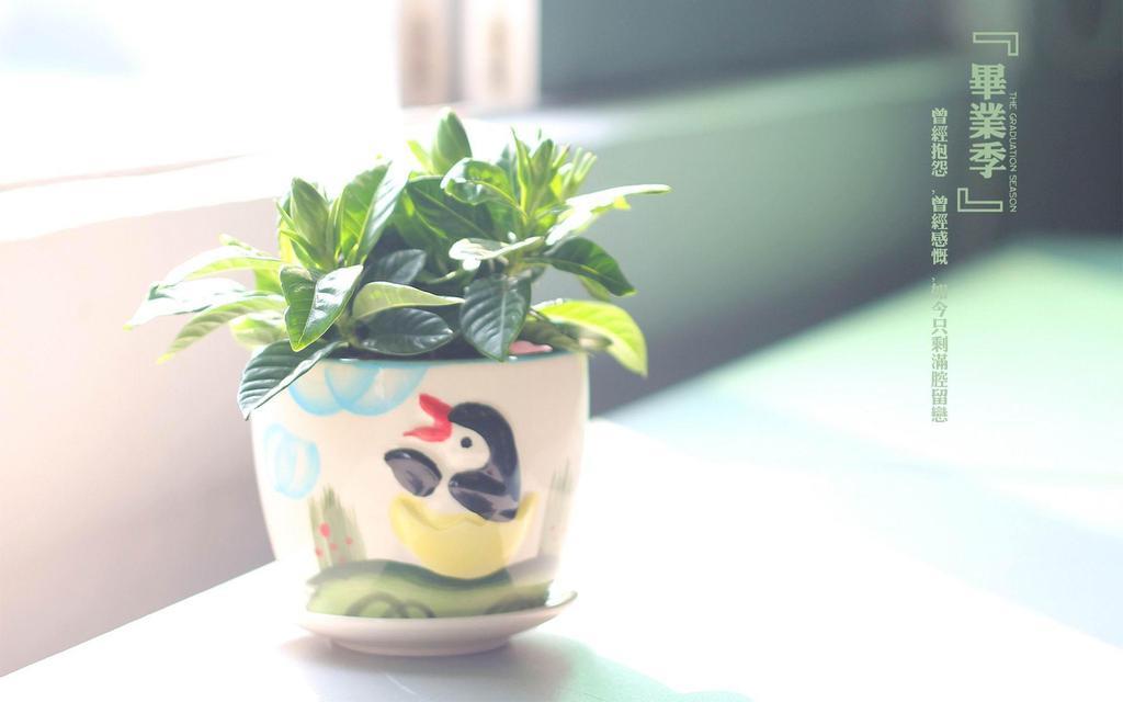 古韵美文摘抄赏析