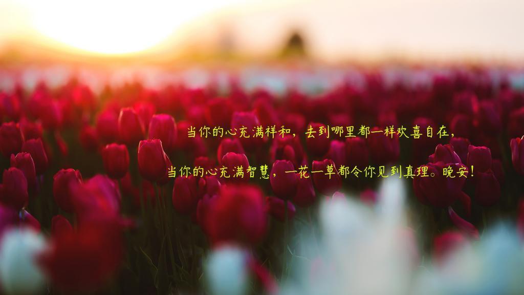 一生的计划