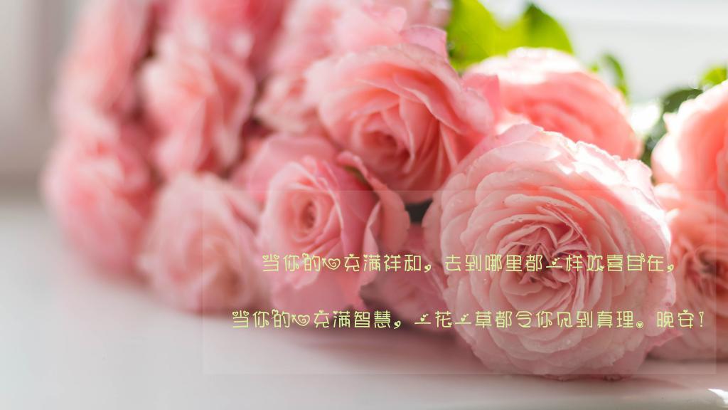 海龟的哲学
