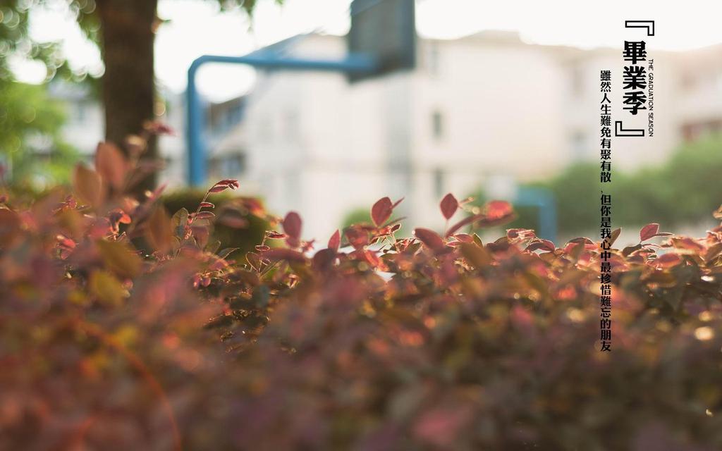 少妇的诱惑 土味情话大全撩女朋友 污污小短文故事