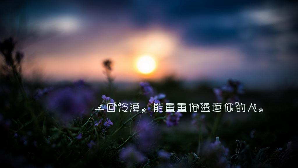 孙女教我“红灯停”