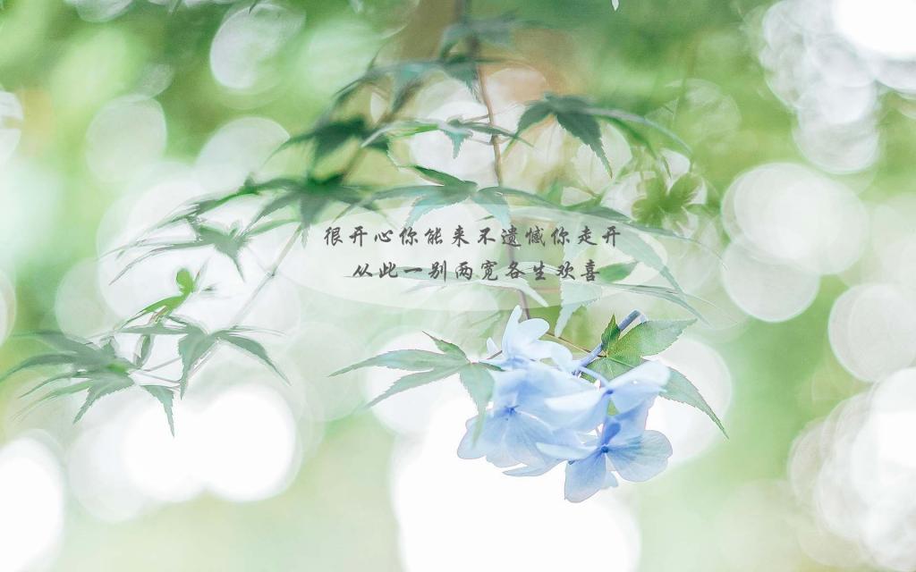 宋丹丹:一生三次婚姻四次恋爱,敢爱敢恨的奇女子