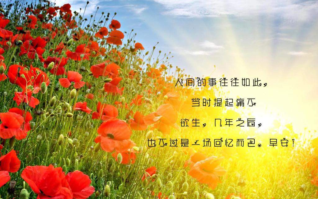 意境唯美的童话小屋图片_梦幻般的意境