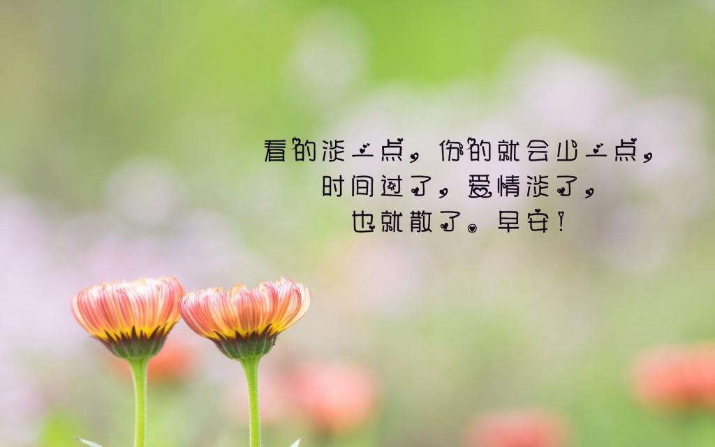 见证者之我是妲己