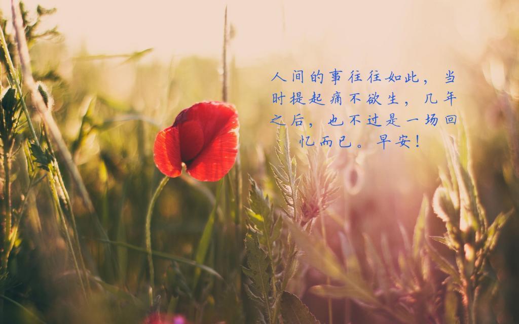 流光浅影