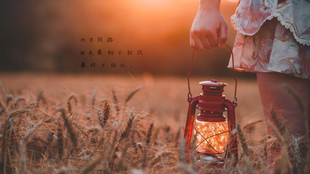 湖中的月亮