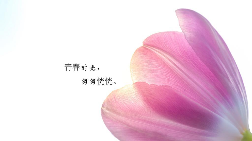 我们一起所做的趣事