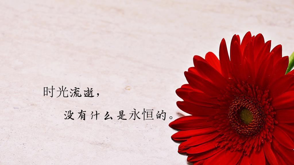 坚韧的麻绳