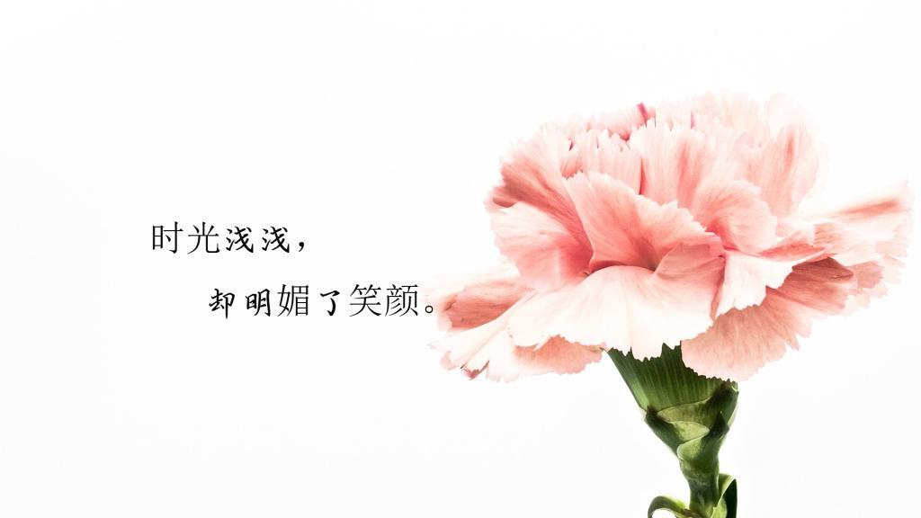用来表达心情的情感语录/心情句子