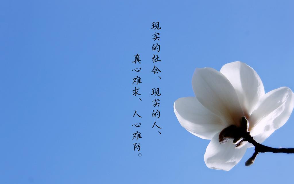 我老公只是位教书先生