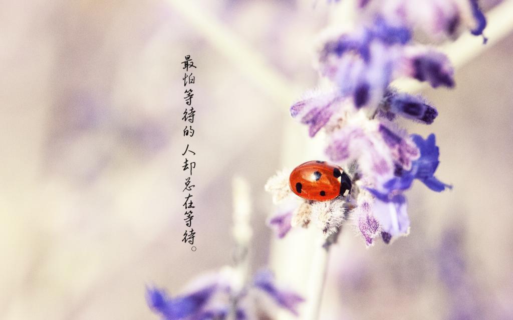 一段留错言的电话录音