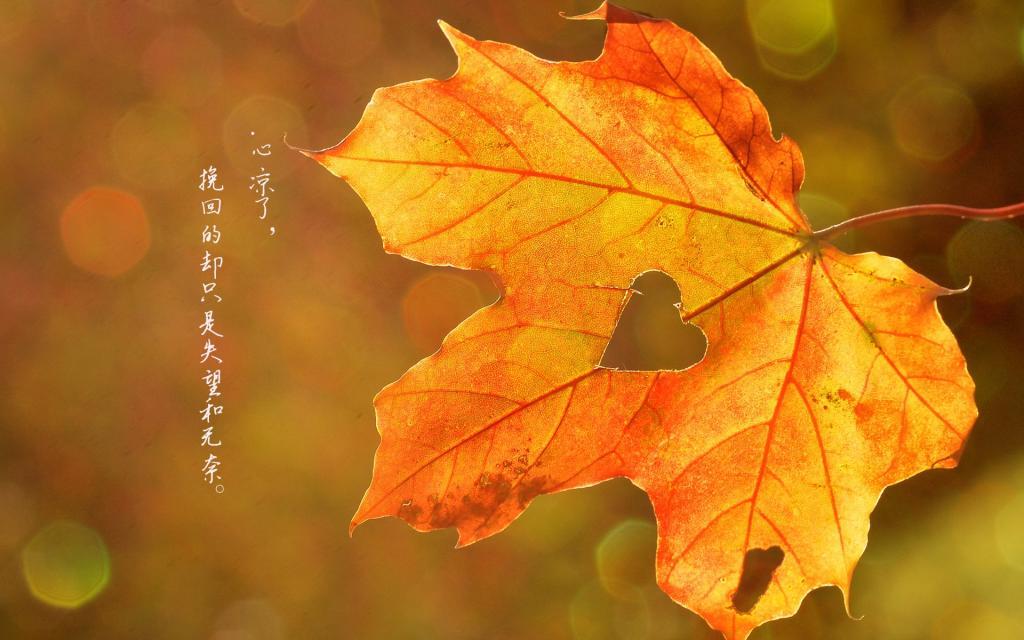 爸爸，我想抽根烟