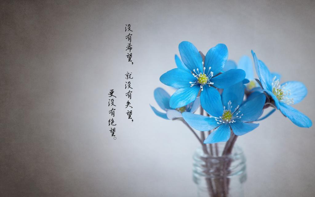 他将死于一场告白