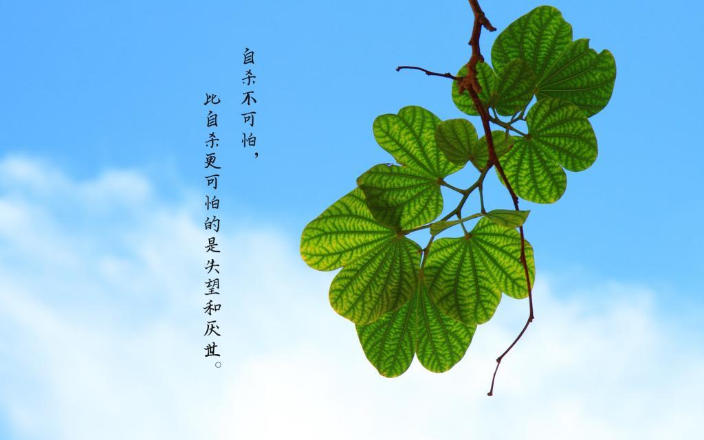 我们和我们的信仰
