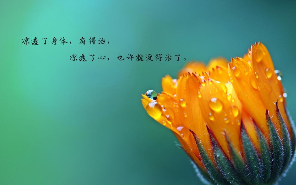 爱情没有先后，合适才能长久