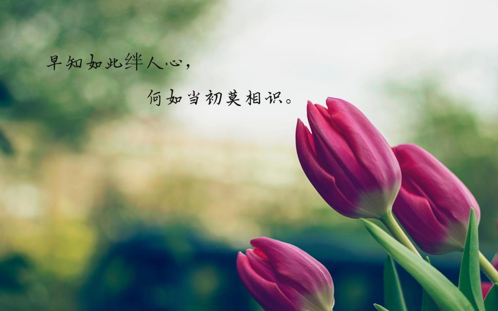 口述：我与女秘书的一夜性