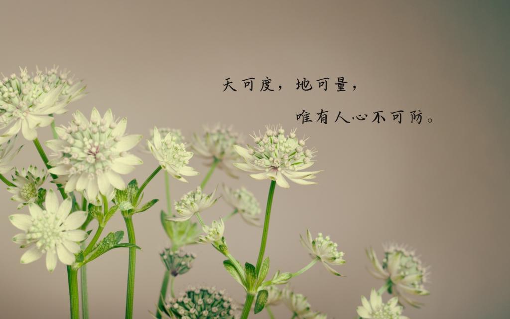 滚滚红尘，一个情字颠倒乾坤