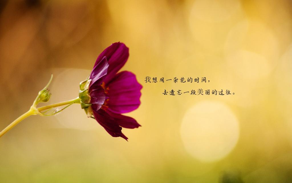 啼春细雨啣桃红