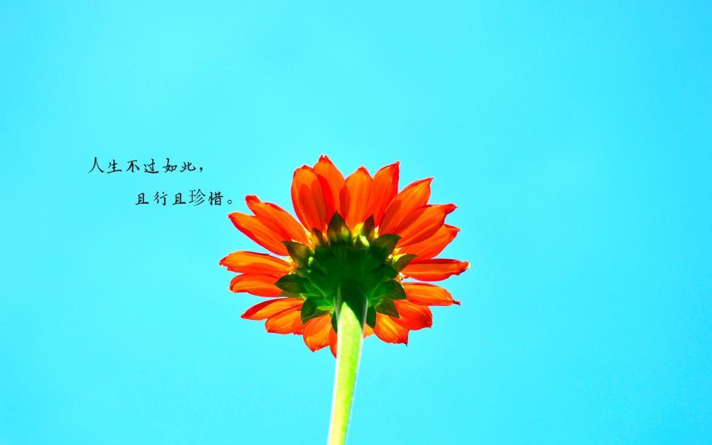 二婚的人，也有权利好好爱