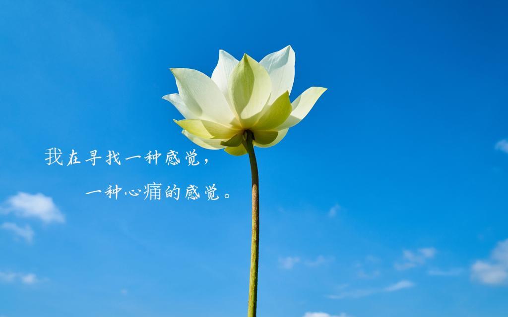 飘雪