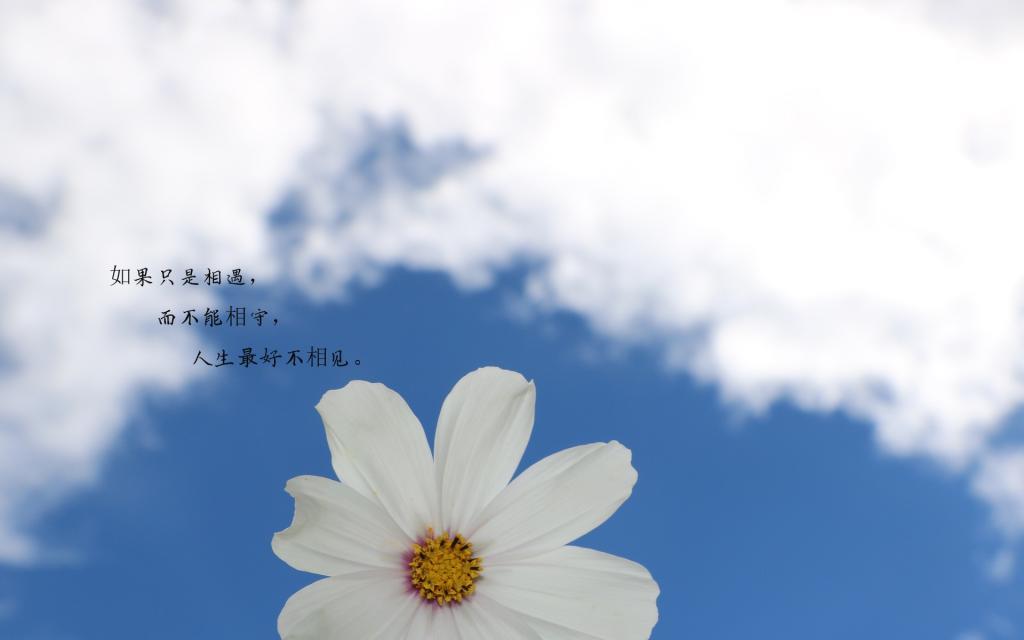 等你在春樱盛开时|友情以上恋人未满