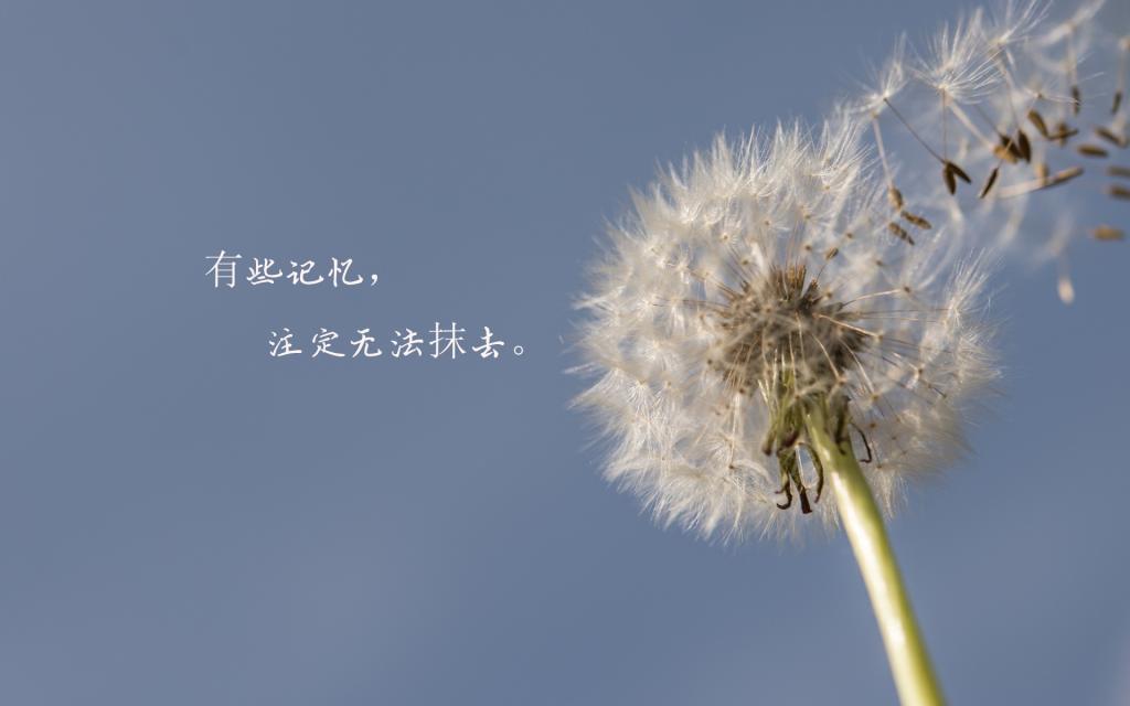 不完美的人生