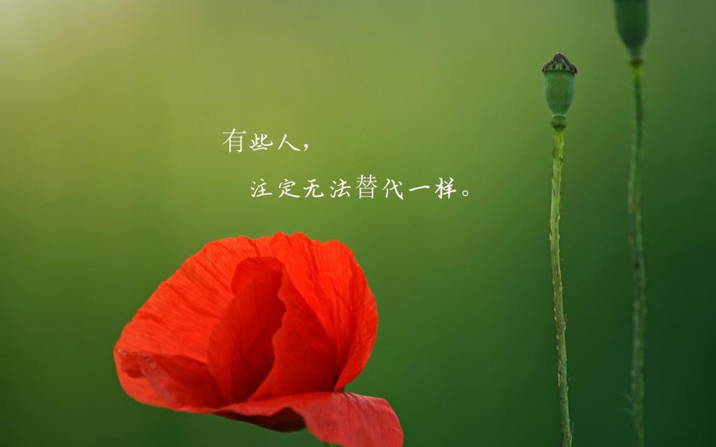 诡电梯之神秘梦境