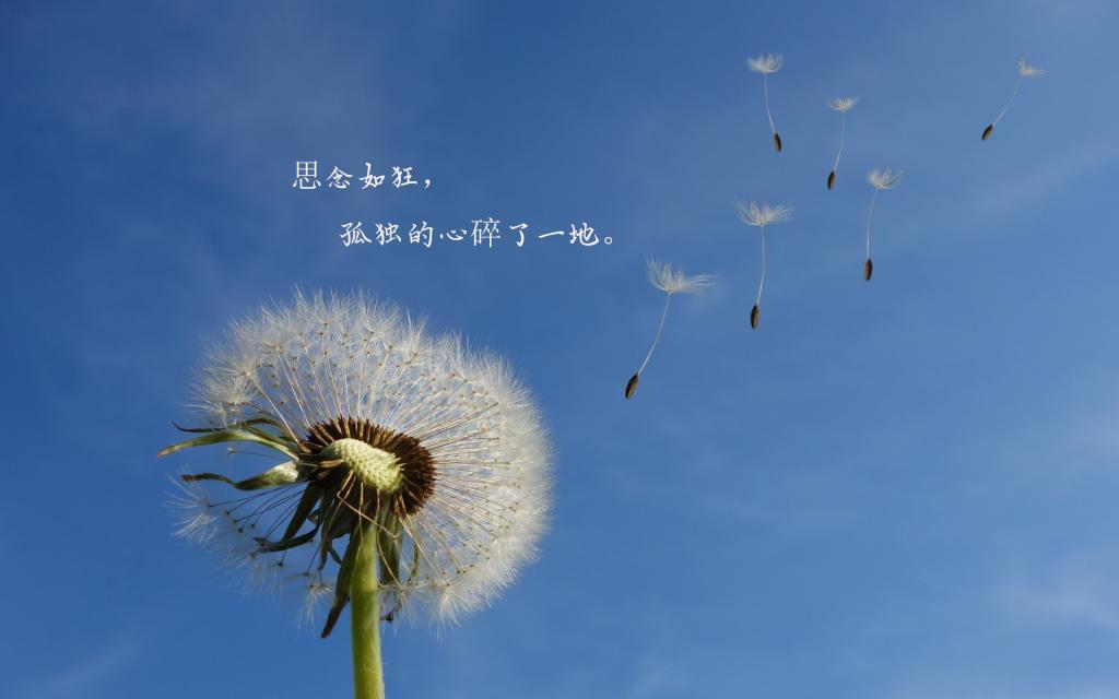 喜欢就在一起，别辜负了相遇
