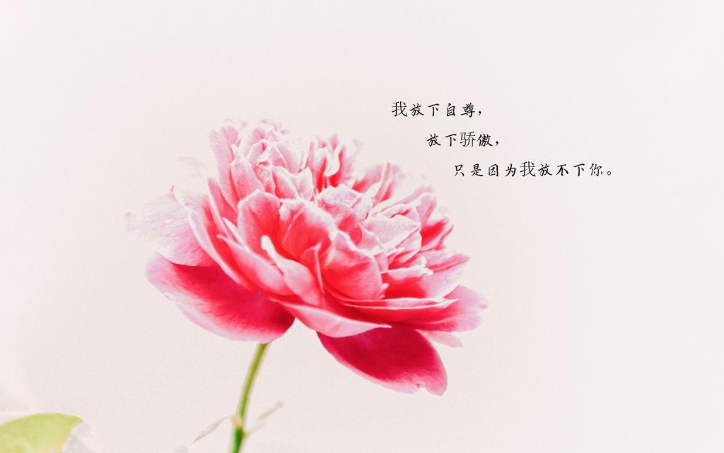 文字控说说加图片