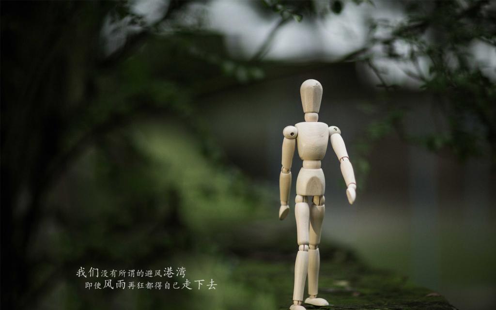 纪念抗日战争和世界反法西斯胜利70周年观后感