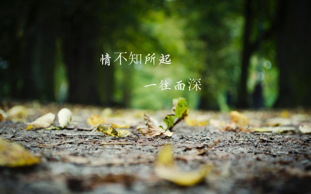 母校惊魂