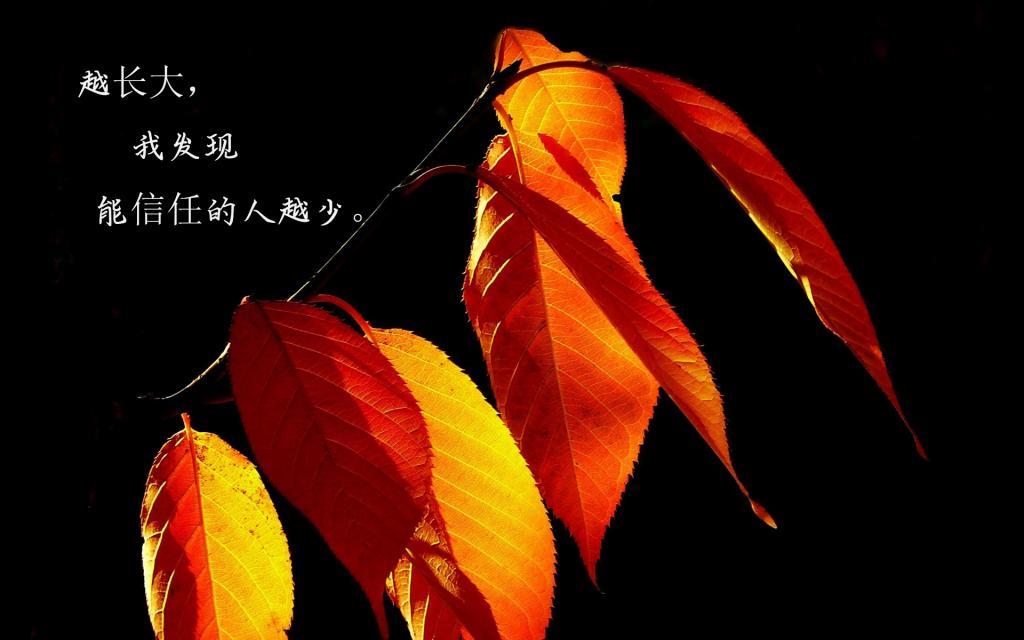 矜持，一种低级的包装