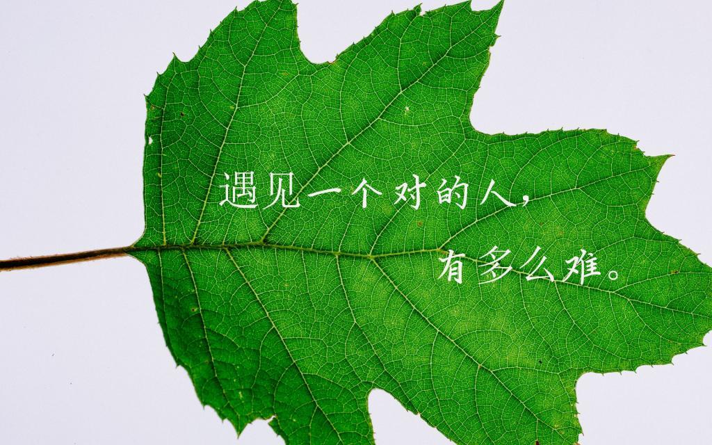 为语嫣赋诗几首