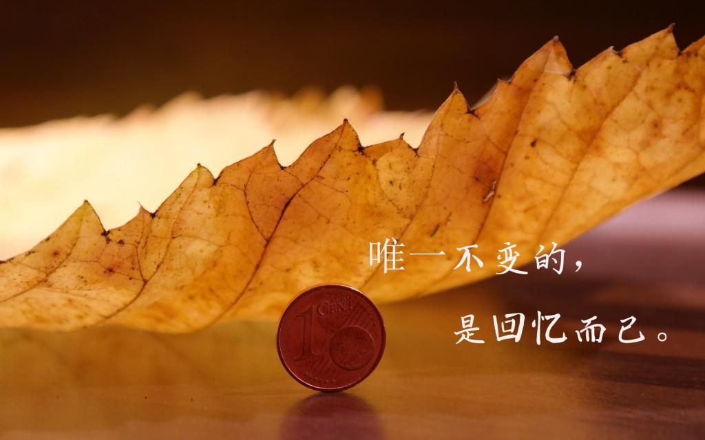 无论过去发生什么，最好的尚未到来。