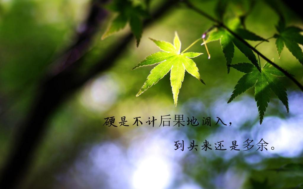 一句搞笑签名超拽简短，搞笑语录