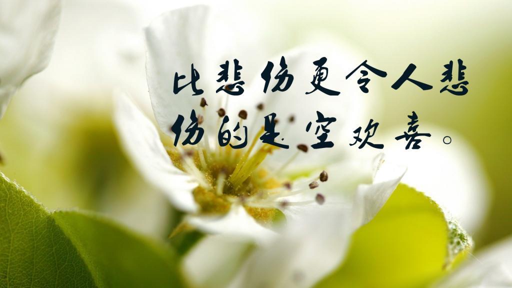 虫子列车