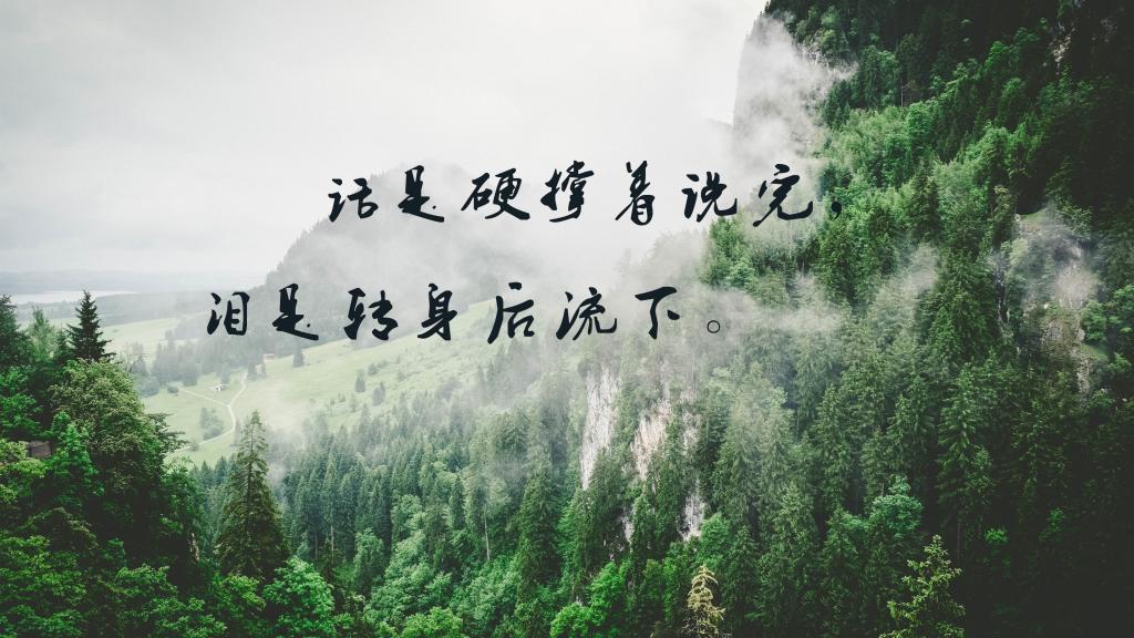 求婚的100个充分理由