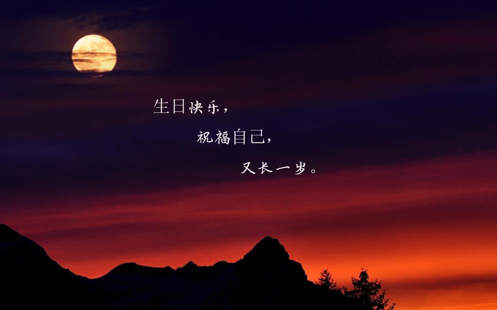 梦想的价格