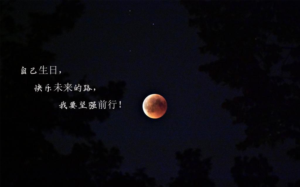 中年人讨厌爱情
