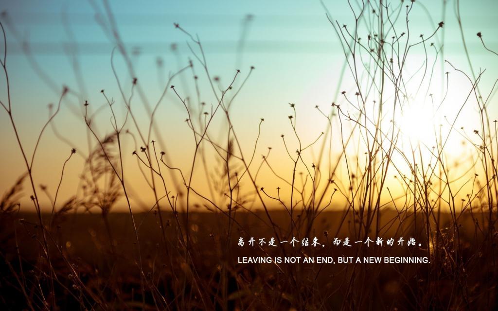 LOMO清新爱情美图_对你深入心底的爱
