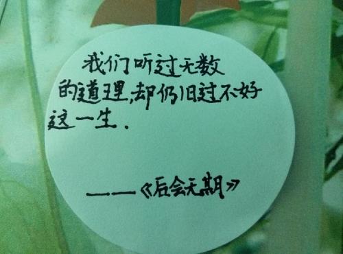 朋友是结伴而行的鱼