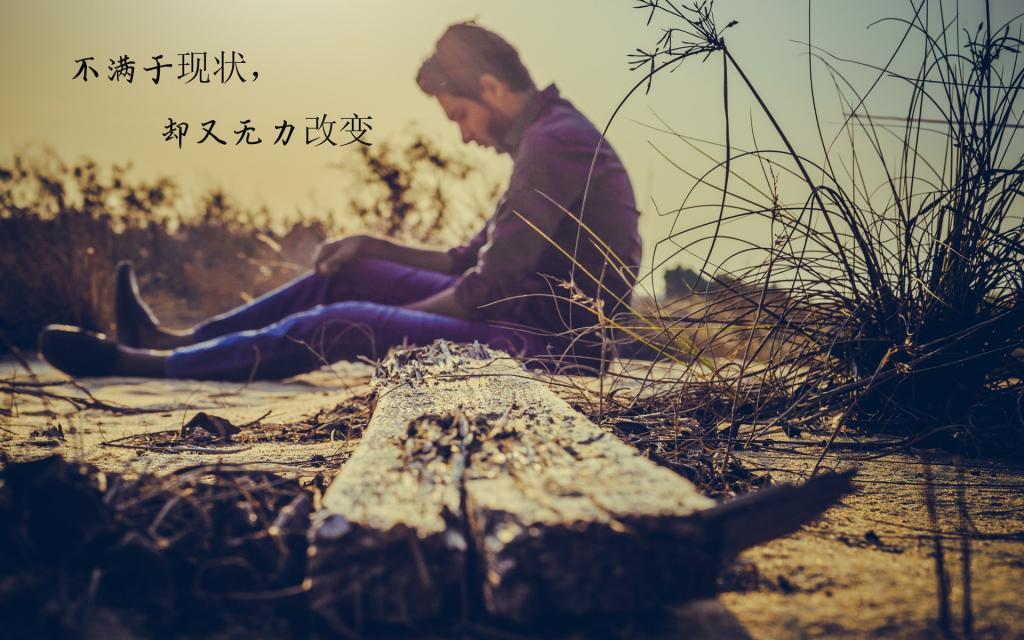 志在峰巅，逆境成才的名言